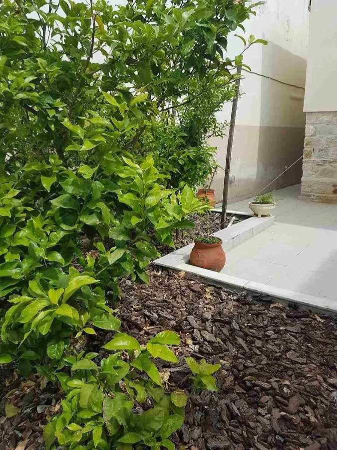 Mangoseaview Home1 Nea Roda